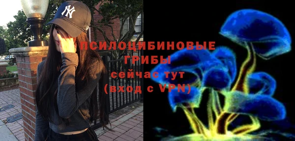 стафф Волосово